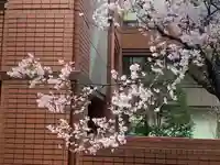 恵比寿神社(恵比寿ガーデンプレイス)の自然