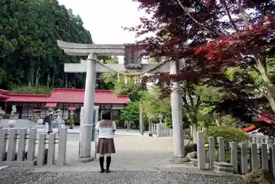 金蛇水神社の鳥居