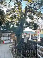 北澤八幡神社の建物その他