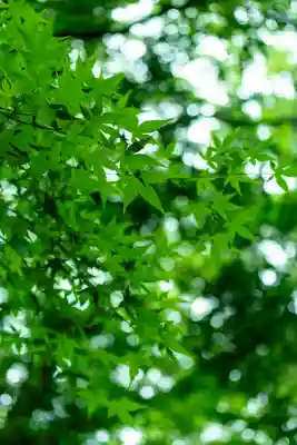 新田神社(鹿児島県)