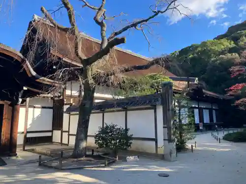 知恩院(京都府)