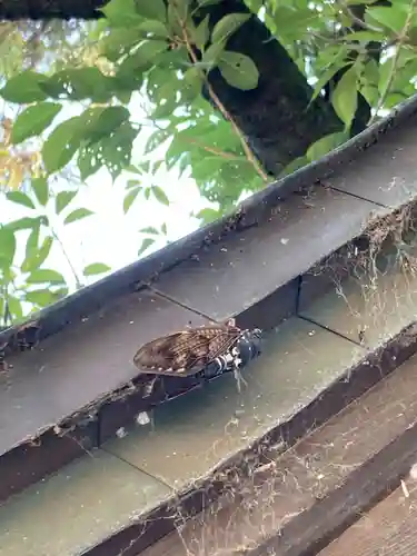 進雄神社(群馬県)