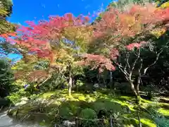 詩仙堂（丈山寺）の自然