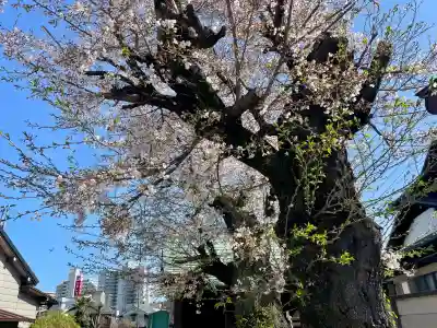 御嶽神社の{uncategorized: "未分類", other: "その他", undefined: "問題あり", building: "その他建物", grave: "お墓", sacred_gate: "鳥居", guardian: "狛犬", statue: "像", buddha: "仏像", history: "歴史", nature: "自然", garden: "庭園", animal: "動物", pagoda: "塔", temizu: "手水舎", mountain_gate: "山門・神門", sanctuary: "本殿・本堂", subordinate: "末社・摂社", art: "芸術", scenery: "景色", jizo: "地蔵", ema: "絵馬", goshuin: "御朱印", omikuji: "おみくじ", items: "授与品その他", amulet: "お守り", goshuincho: "御朱印帳", eats: "食事", festival: "お祭り", votive_dance: "神楽", shichigosan: "七五三参", wedding: "結婚式", experience: "体験その他", initially: "初詣", around: "周辺", anti_infection: "感染症対策"}