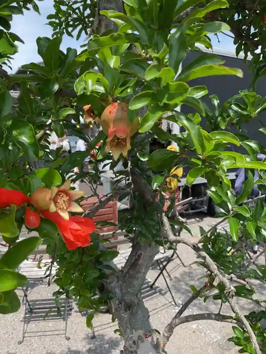 妙禅寺(愛知県)