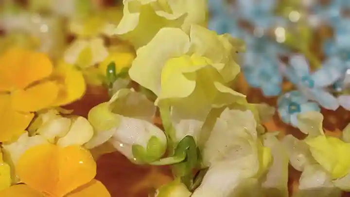 阿邪訶根神社の手水舎