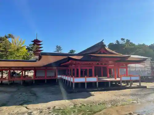 厳島神社(広島県)