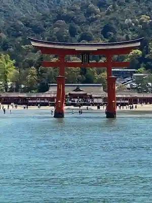 厳島神社の{uncategorized: "未分類", other: "その他", undefined: "問題あり", building: "その他建物", grave: "お墓", sacred_gate: "鳥居", guardian: "狛犬", statue: "像", buddha: "仏像", history: "歴史", nature: "自然", garden: "庭園", animal: "動物", pagoda: "塔", temizu: "手水舎", mountain_gate: "山門・神門", sanctuary: "本殿・本堂", subordinate: "末社・摂社", art: "芸術", scenery: "景色", jizo: "地蔵", ema: "絵馬", goshuin: "御朱印", omikuji: "おみくじ", items: "授与品その他", amulet: "お守り", goshuincho: "御朱印帳", eats: "食事", festival: "お祭り", votive_dance: "神楽", shichigosan: "七五三参", wedding: "結婚式", experience: "体験その他", initially: "初詣", around: "周辺", anti_infection: "感染症対策"}