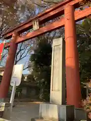 世田谷八幡宮の鳥居