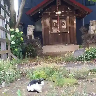 十条八雲神社の動物