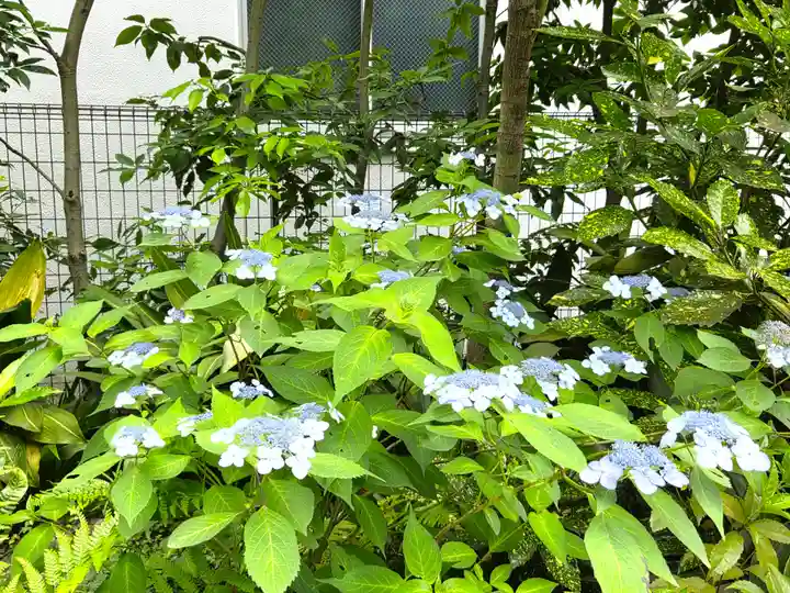 崇覚寺(愛知県)