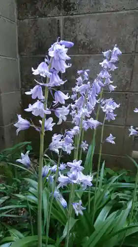 阿邪訶根神社の自然