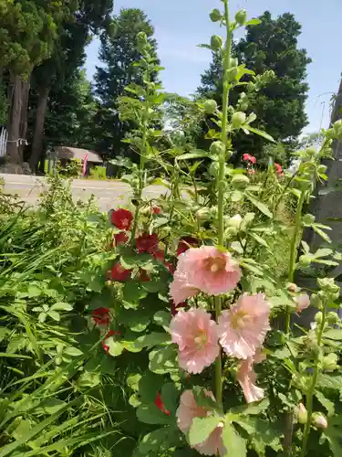 高司神社〜むすびの神の鎮まる社〜(福島県)