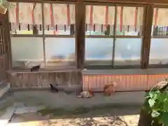 忌宮神社の動物