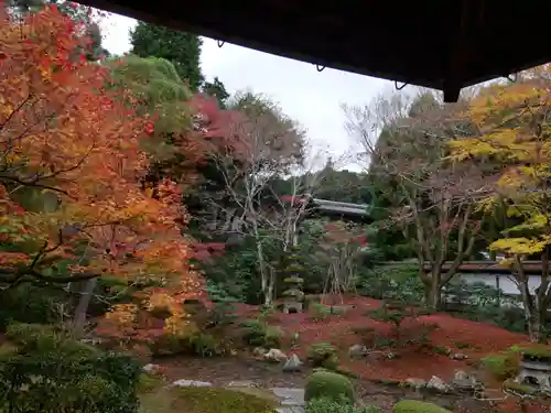 御寺 泉涌寺の庭園