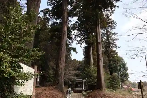 荒橿神社(栃木県)