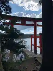 箱根神社の鳥居