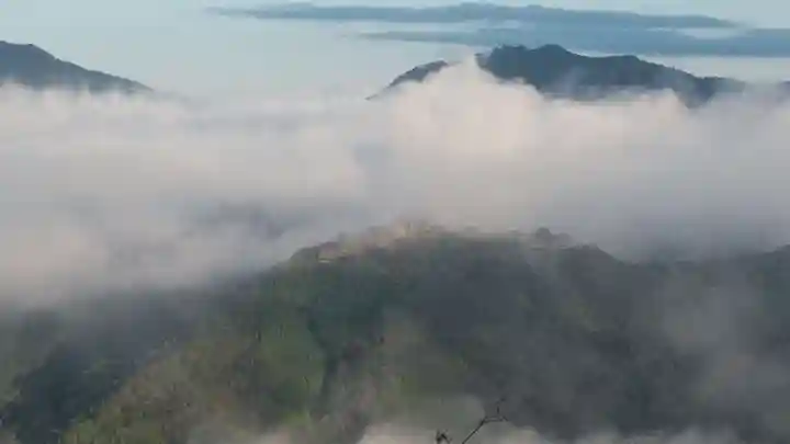 出石神社(兵庫県)