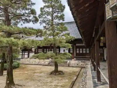 萬福寺(京都府)
