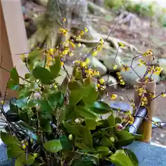 高司神社〜むすびの神の鎮まる社〜(福島県)