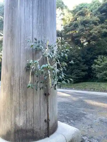 明治神宮(東京都)