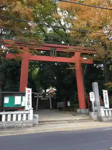 世田谷八幡宮の鳥居