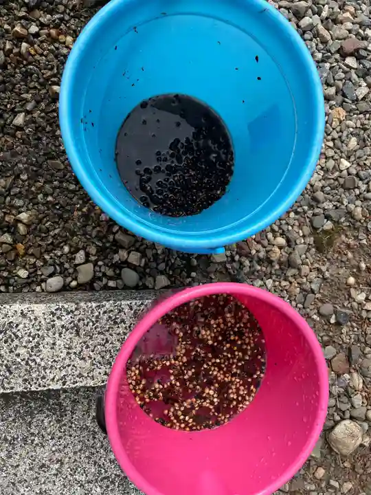 手力雄神社(岐阜県)