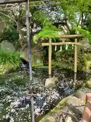 愛宕神社の鳥居