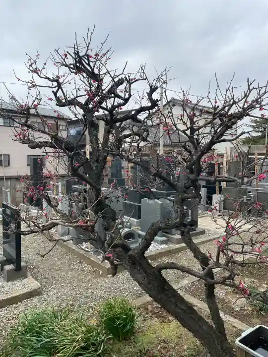 玉蔵院の{uncategorized: "未分類", other: "その他", undefined: "問題あり", building: "その他建物", grave: "お墓", sacred_gate: "鳥居", guardian: "狛犬", statue: "像", buddha: "仏像", history: "歴史", nature: "自然", garden: "庭園", animal: "動物", pagoda: "塔", temizu: "手水舎", mountain_gate: "山門・神門", sanctuary: "本殿・本堂", subordinate: "末社・摂社", art: "芸術", scenery: "景色", jizo: "地蔵", ema: "絵馬", goshuin: "御朱印", omikuji: "おみくじ", items: "授与品その他", amulet: "お守り", goshuincho: "御朱印帳", eats: "食事", festival: "お祭り", votive_dance: "神楽", shichigosan: "七五三参", wedding: "結婚式", experience: "体験その他", initially: "初詣", around: "周辺", anti_infection: "感染症対策"}