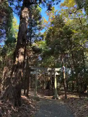 白幡神社(千葉県)