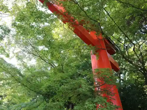 賀茂御祖神社（下鴨神社）の鳥居