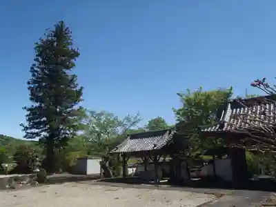 専光寺(愛知県)