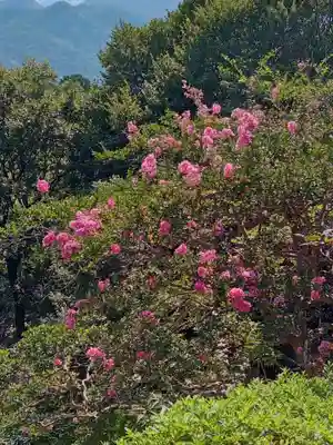 花山院菩提寺(兵庫県)