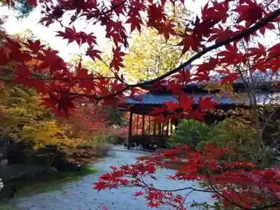 天授庵(京都府)