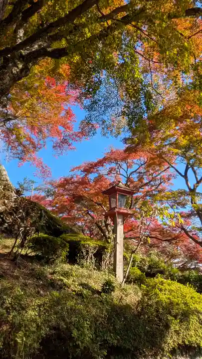 善峯寺(京都府)