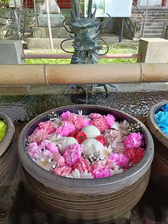 津島神社の手水舎