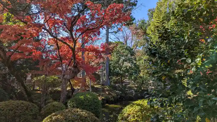 神光院(京都府)