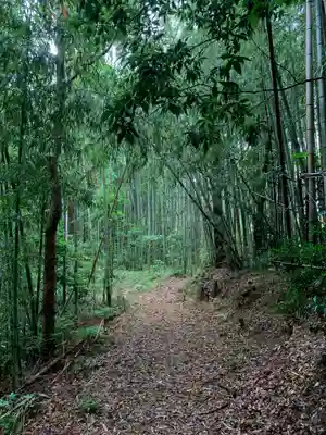 千手観音堂の周辺