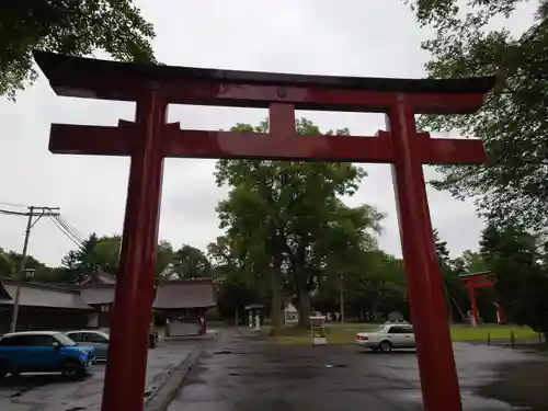 北海道護國神社の鳥居