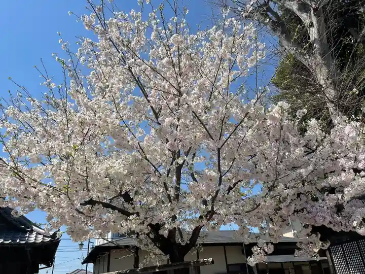 下総野田愛宕神社の庭園