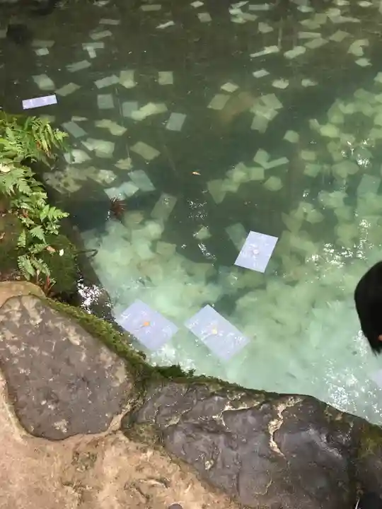 八重垣神社の体験その他