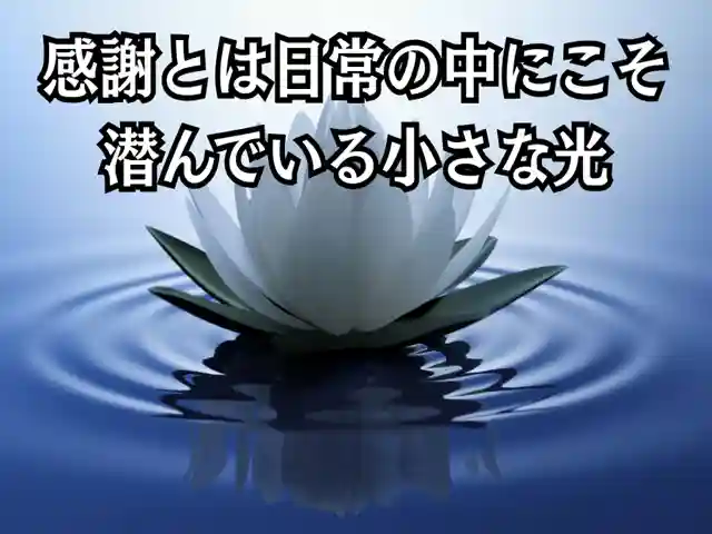 木舟山 順教寺(広島県)