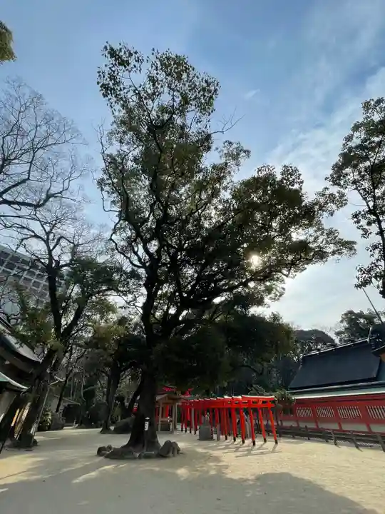 住吉神社(福岡県)