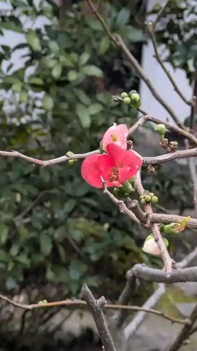 義仲寺(滋賀県)
