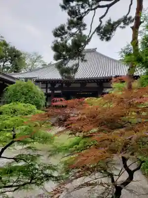 妙法寺(東京都)