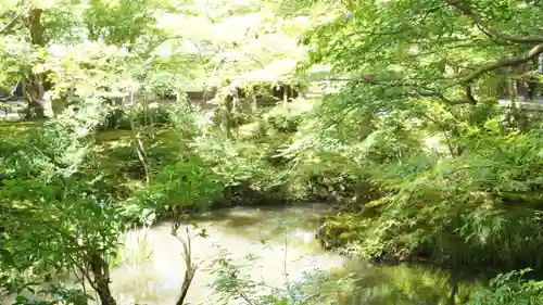 圓光寺(京都府)
