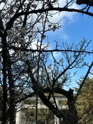群馬県護国神社(群馬県)