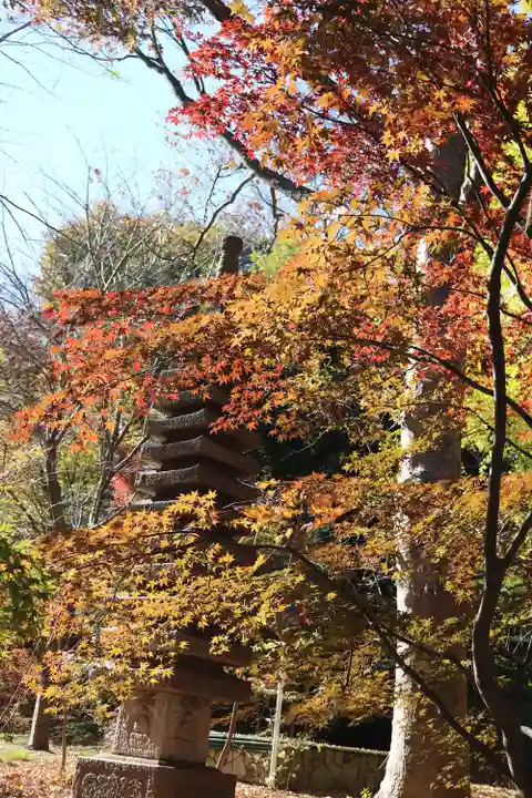淨眞寺(東京都)