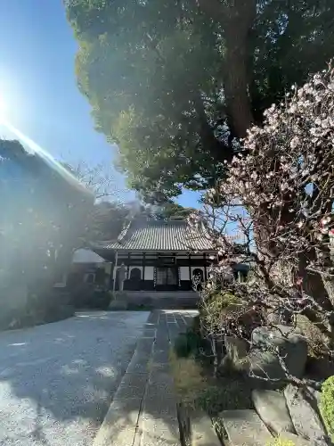 成願寺の{uncategorized: "未分類", other: "その他", undefined: "問題あり", building: "その他建物", grave: "お墓", sacred_gate: "鳥居", guardian: "狛犬", statue: "像", buddha: "仏像", history: "歴史", nature: "自然", garden: "庭園", animal: "動物", pagoda: "塔", temizu: "手水舎", mountain_gate: "山門・神門", sanctuary: "本殿・本堂", subordinate: "末社・摂社", art: "芸術", scenery: "景色", jizo: "地蔵", ema: "絵馬", goshuin: "御朱印", omikuji: "おみくじ", items: "授与品その他", amulet: "お守り", goshuincho: "御朱印帳", eats: "食事", festival: "お祭り", votive_dance: "神楽", shichigosan: "七五三参", wedding: "結婚式", experience: "体験その他", initially: "初詣", around: "周辺", anti_infection: "感染症対策"}
