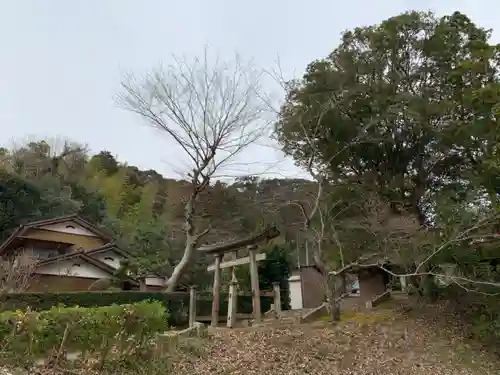 大國主神社の鳥居